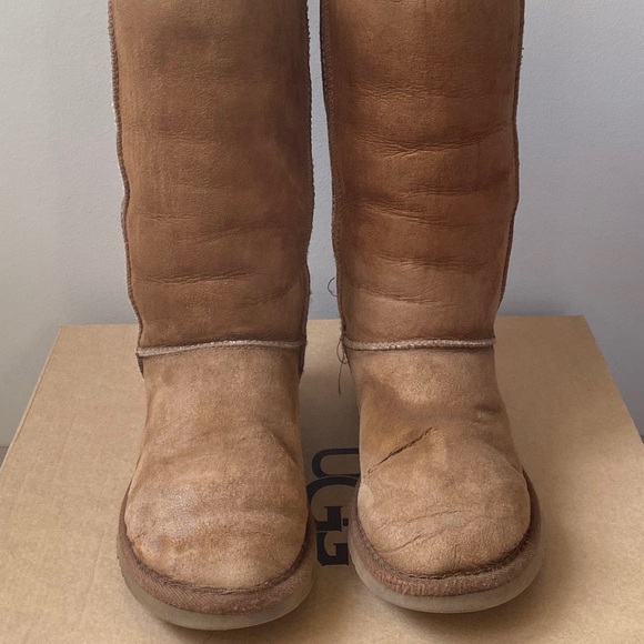 Tall UGGS in Chestnut - Picture 2 of 14